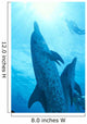 Sunburst Snorkeler Wall Mural