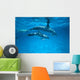 Pair Near Surface With Reflections Wall Mural