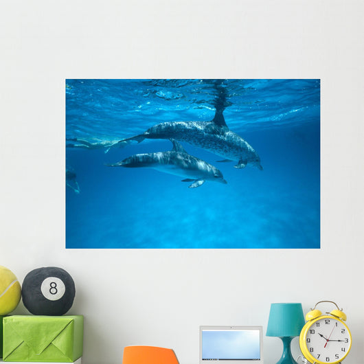 Pair Near Surface With Reflections Wall Mural