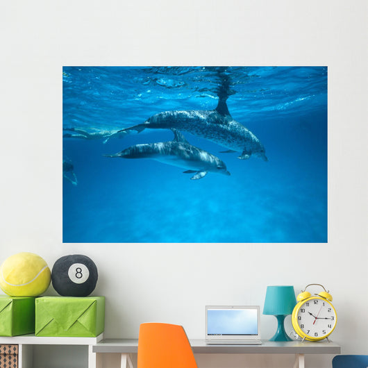 Pair Near Surface With Reflections Wall Mural