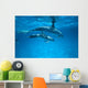 Pair Near Surface With Reflections Wall Mural