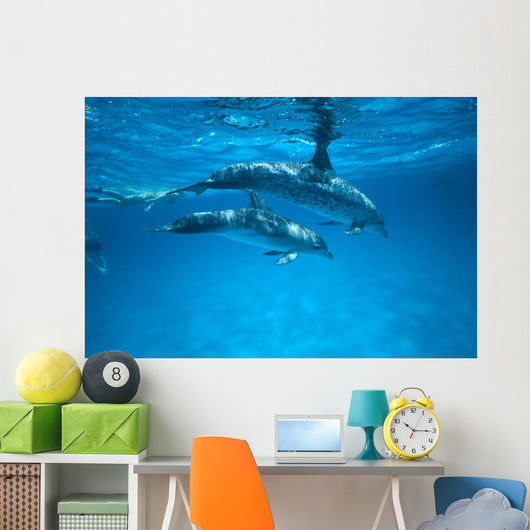 Pair Near Surface With Reflections Wall Mural