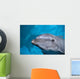 Hawaii, Pacific Bottlenose Dolphin Close-Up Of Face, Turquoise Water Wall Mural