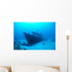 Hawaii, Maui, Kihei, Front View Of St Anthony Wreck In Deep Blue Water Wall Mural