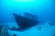 Hawaii, Maui, Kihei, Front View Of St Anthony Wreck In Deep Blue Water Wall Mural