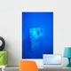 Hawaii, Oahu, Bow View Of Atlantis Wreck Off Waikiki, Clear Blue Ocean Wall Mural