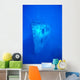 Hawaii, Oahu, Bow View Of Atlantis Wreck Off Waikiki, Clear Blue Ocean Wall Mural