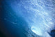 Close-Up Inside The Tube, Wave Curls Over Wall Mural