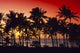 Palms Silhouette Wall Mural