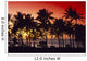 Palms Silhouette Wall Mural