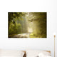 Enchanting Forest Path Wall Mural