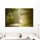 Enchanting Forest Path Wall Mural