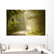 Enchanting Forest Path Wall Mural