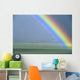 Hawaii, Maui, Faint Portion Of Rainbow Over Fields, Misty Sky Wall Mural