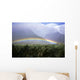 View Of Low Rainbow At Base Of Mountains, Clouds, Blue Sky, Field Wall Mural