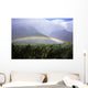 View Of Low Rainbow At Base Of Mountains, Clouds, Blue Sky, Field Wall Mural