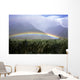 View Of Low Rainbow At Base Of Mountains, Clouds, Blue Sky, Field Wall Mural