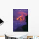 Glowing In Pink Steamy Skies Wall Mural