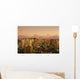 Diamond Head Background Wall Mural
