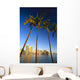Palm Trees In Foreground Wall Mural