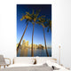 Palm Trees In Foreground Wall Mural