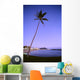 Calm Water Wall Mural