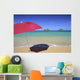 Blue Sky Wall Mural