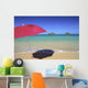 Blue Sky Wall Mural