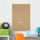 Side View Close-Up Of Single White Starfish On Sandy Beach Wall Mural
