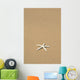 Side View Close-Up Of Single White Starfish On Sandy Beach Wall Mural