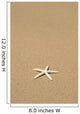 Side View Close-Up Of Single White Starfish On Sandy Beach Wall Mural