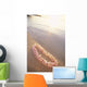 Pale Pink Plumeria Lei Along Shoreline Of Calm Water Wall Mural