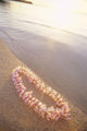 Pale Pink Plumeria Lei Along Shoreline Of Calm Water Wall Mural
