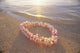 Pale Pink Plumeria Lei Wall Mural