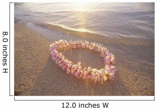 Pale Pink Plumeria Lei Wall Mural