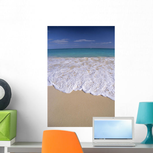 Whitewash Breaking Along Shoreline Wall Mural