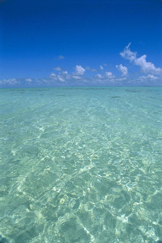 Clear Turquoise Ocean Water, Blue Sky Wall Mural