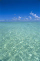 Clear Turquoise Ocean Water, Blue Sky Wall Mural