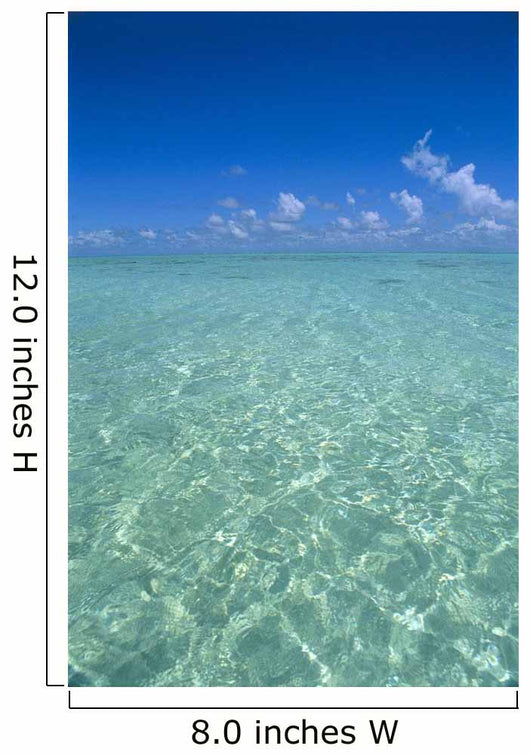 Clear Turquoise Ocean Water, Blue Sky Wall Mural