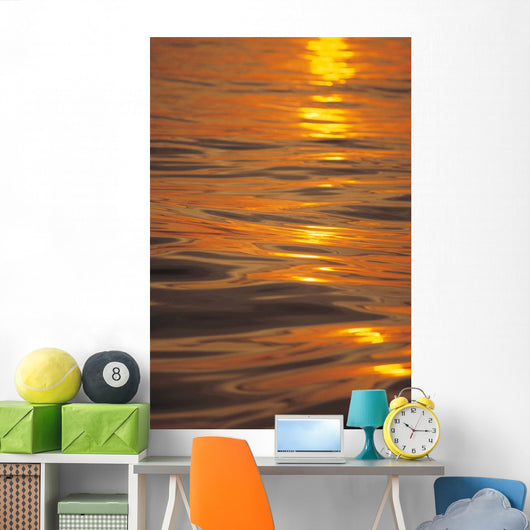 Sunset Orange And Gold Reflections On Smooth Ocean Surface Wall Mural