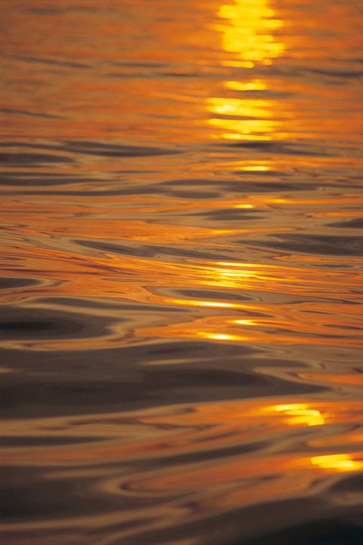 Sunset Orange And Gold Reflections On Smooth Ocean Surface Wall Mural
