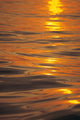 Sunset Orange And Gold Reflections On Smooth Ocean Surface Wall Mural