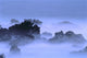 Misty Fog Layer Over Lava Rocks, Ocean Shoreline Wall Mural