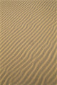 Oregon Dunes National Recreation Area, Sand Patterns, Wave Like Wall Mural