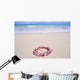 Turquoise Ocean Background Wall Mural