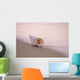 Hawaii, Detail Of Seashell Lying On Shoreline Beach At Dawn, Wet Sand Wall Mural