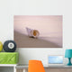 Hawaii, Detail Of Seashell Lying On Shoreline Beach At Dawn, Wet Sand Wall Mural
