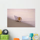 Hawaii, Detail Of Seashell Lying On Shoreline Beach At Dawn, Wet Sand Wall Mural