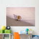Hawaii, Detail Of Seashell Lying On Shoreline Beach At Dawn, Wet Sand Wall Mural