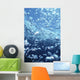 Underwater View Of Air Bubbles Near Surface Wall Mural